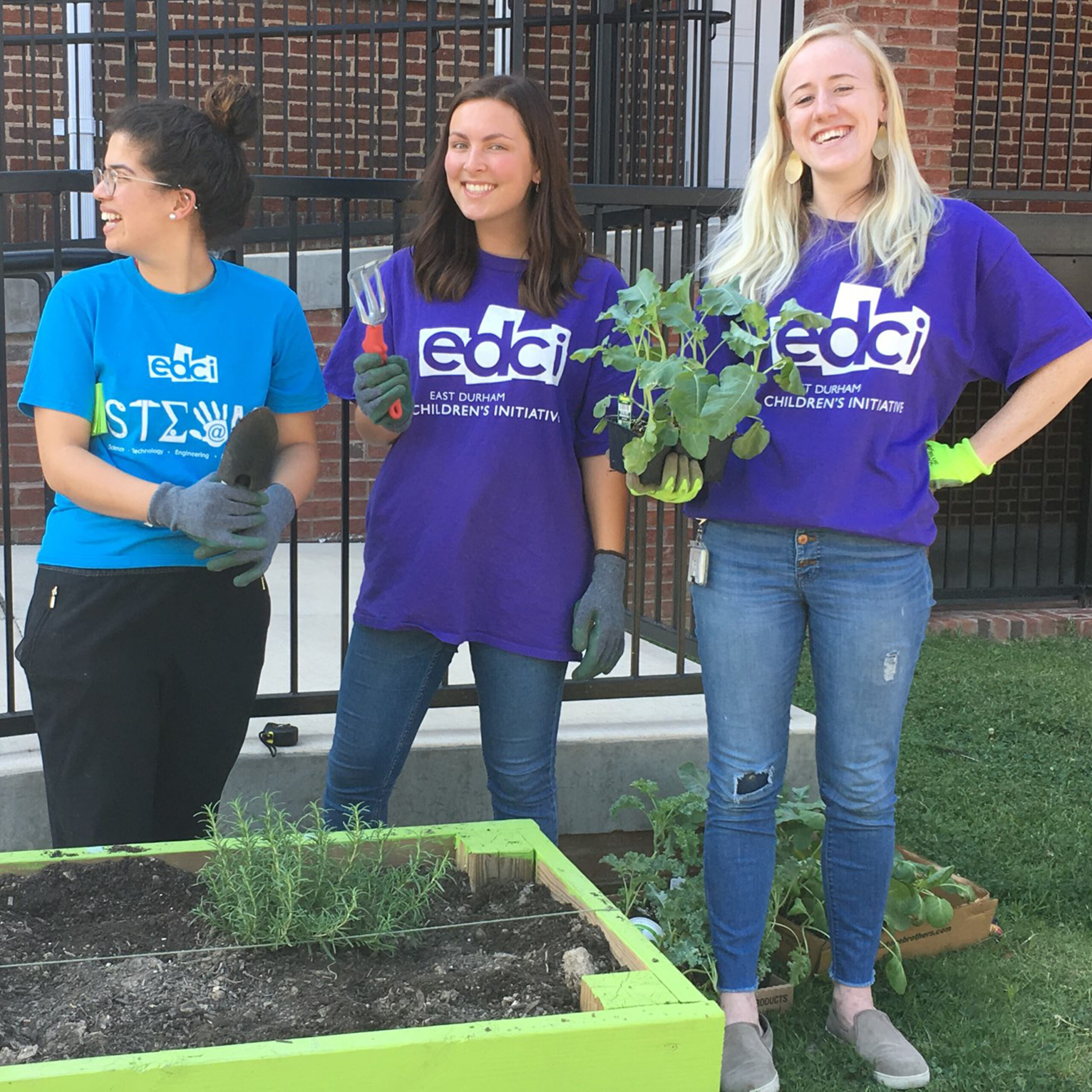 Community Garden Box & Build